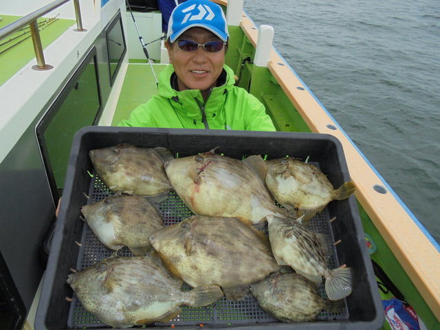 カワハギ30cm 8匹 の釣果 19年10月15日 巳之助丸 神奈川 久比里港 船釣り予約 キャスティング船釣り予約