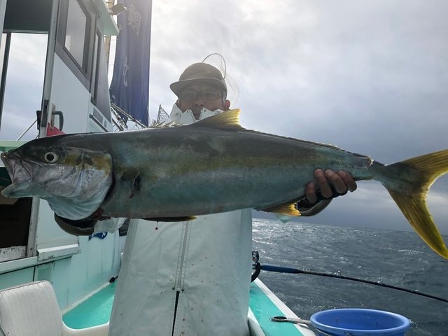 ヒラマサ7 50kg 1匹 の釣果 2019年10月16日 鯛丸 千葉 小湊港 釣り船予約 釣割