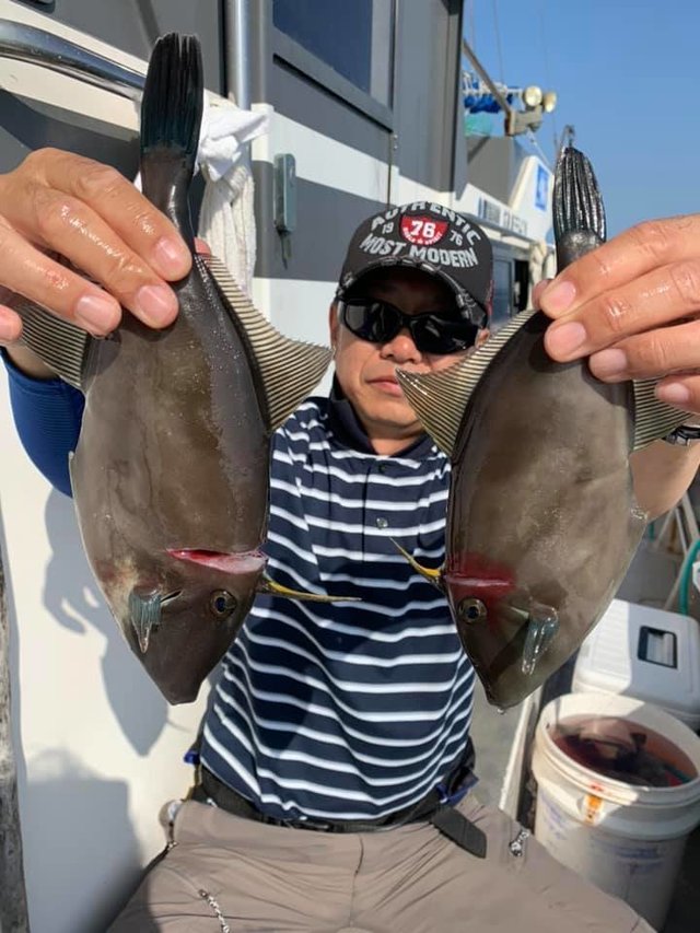 ウマヅラハギ の釣果 19年10月14日 船井丸 広島 丹那漁港 釣り船予約 釣割