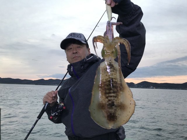 アオリイカ23cm 2匹 の釣果 19年10月21日 なかくに丸 新潟 寺泊港 釣り船予約 釣割
