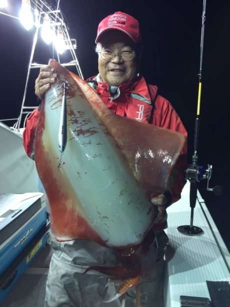 タルイカ の釣果 19年10月23日 泰丸 福井 色浜港 釣り船予約 釣割