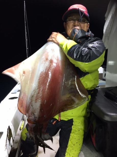 タルイカ15 00kg 4匹 の釣果 19年10月27日 泰丸 福井 色浜港 釣り船予約 釣割