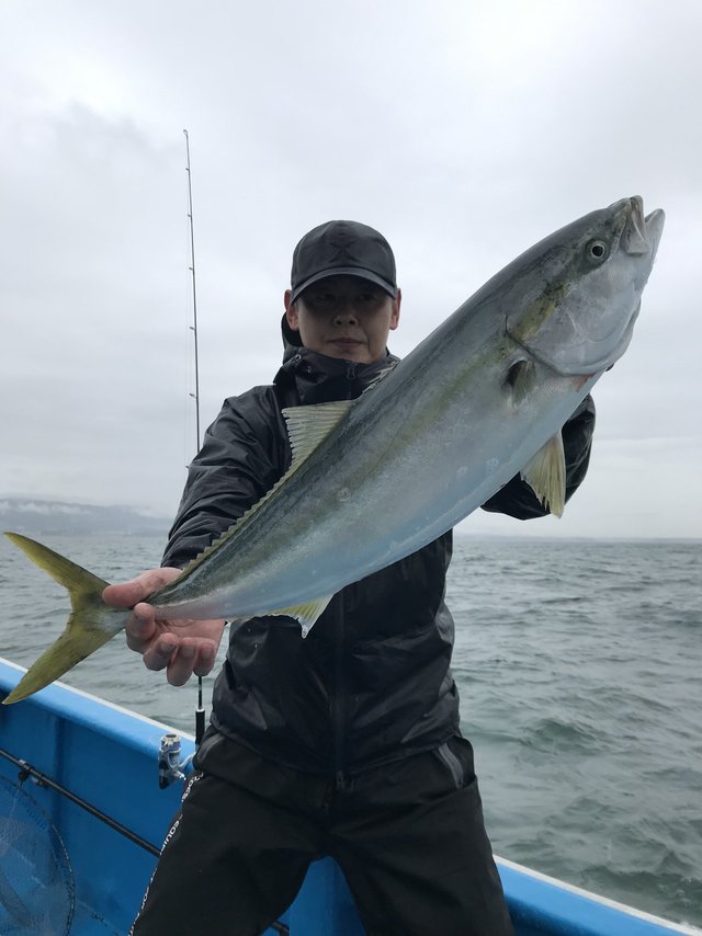 ヒラマサ3 00kg の釣果 19年10月29日 ことぶき丸 茨城 会瀬漁港 釣り船予約 釣割