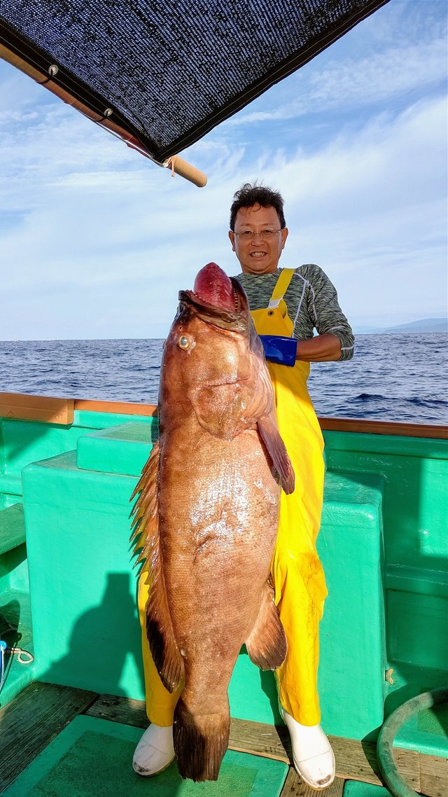 クエ126cm 1匹 の釣果 19年11月7日 結衣丸 高知 室戸岬漁港 釣割