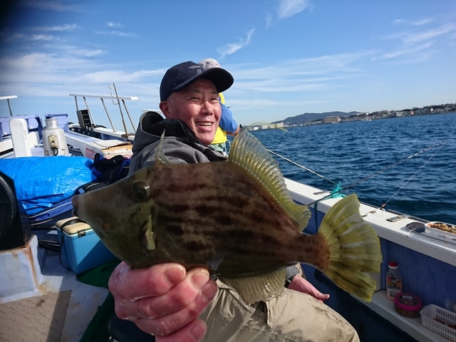 カワハギ28cm 14匹 の釣果 19年11月17日 丸伊丸 神奈川 長井荒崎漁港 釣り船予約 釣割