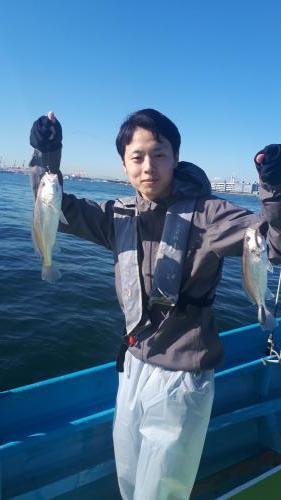 イシモチ の釣果 19年11月16日 釣り船小林 東京 立会川勝島運河 釣り船予約 釣割