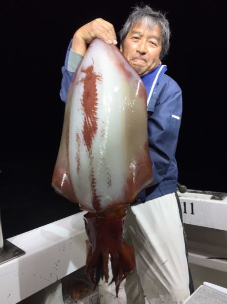 タルイカ10 00kg 2匹 の釣果 19年11月22日 泰丸 福井 色浜港 釣り船予約 釣割