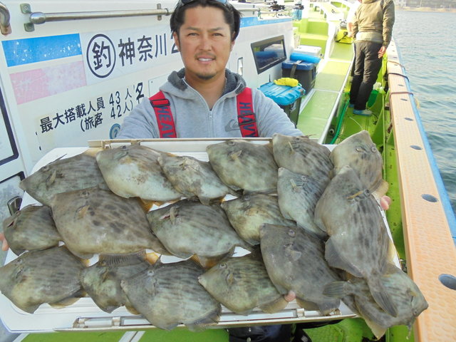 カワハギ29cm 19匹 の釣果 2019年11月25日 巳之助丸 神奈川 久比里港 釣り船予約 釣割
