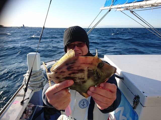 カワハギ29cm 6匹 の釣果 19年11月30日 丸伊丸 神奈川 長井荒崎漁港 釣り船予約 釣割