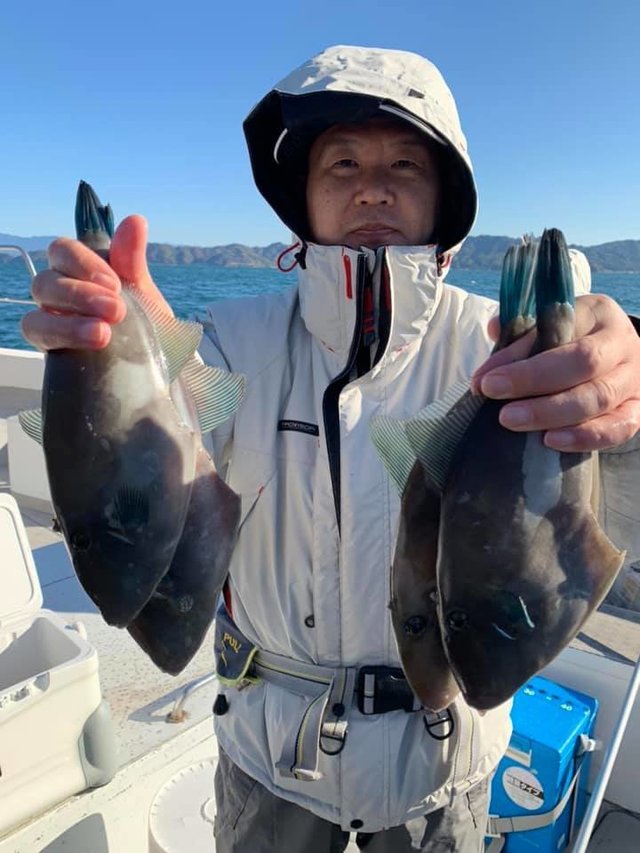 ウマヅラハギ の釣果 19年11月30日 船井丸 広島 丹那漁港 釣り船予約 釣割