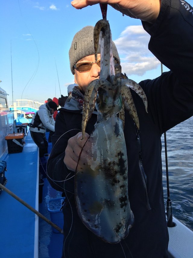 アオリイカ0 60kg 4匹 の釣果 19年12月3日 宝生丸 千葉 勝山漁港 釣り船予約 釣割