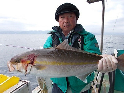 ネイリ の釣果 19年11月22日 ちさと丸 高知 赤岡漁港 釣り船予約 釣割