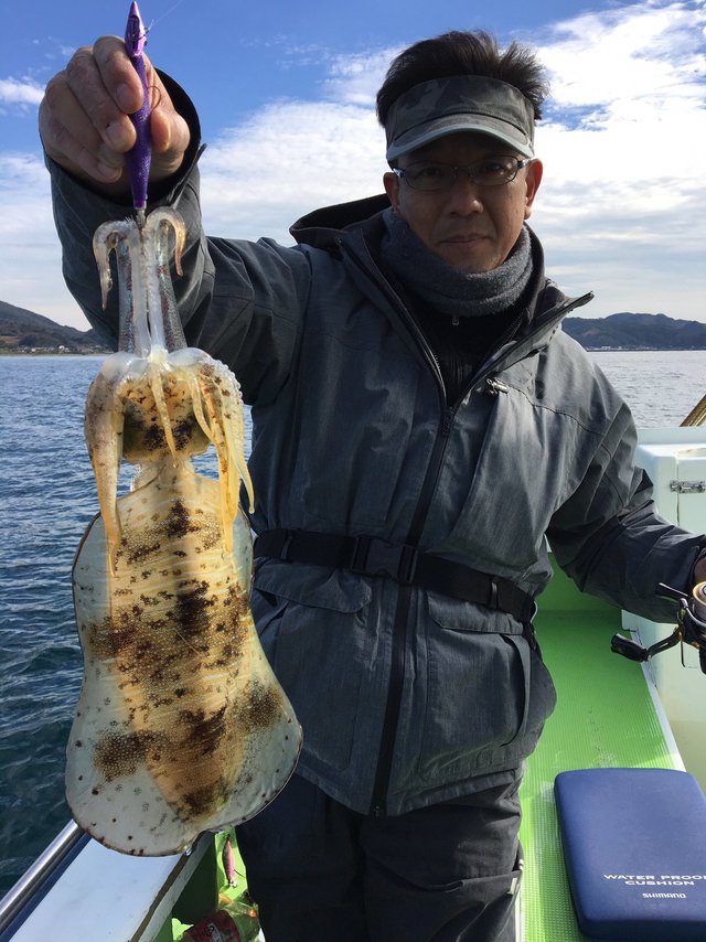 アオリイカ1 40kg 12匹 の釣果 19年12月5日 宝生丸 千葉 勝山漁港 釣り船予約 釣割