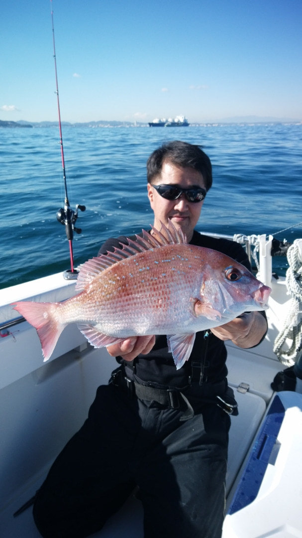 アオリイカ 2匹 の釣果 2019年12月4日 大吉丸 竹岡 千葉 ハーバー津浜 釣り船予約 釣割