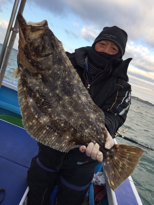 ヒラメ3 45kg 3匹 の釣果 19年12月25日 第三松栄丸 千葉 大原港 釣り船予約 釣割