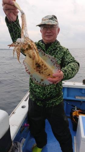 アオリイカ1 00kg 4匹 の釣果 2019年12月21日 佐衛美丸 千葉 洲崎港 釣り船予約 釣割