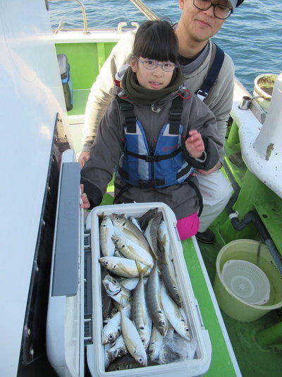 アジ34cm 115匹 の釣果 年1月11日 長崎屋 神奈川 本牧漁港 釣り船予約 釣割