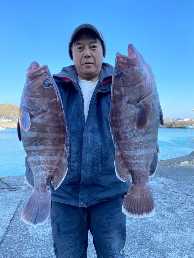 マハタ1 60kg 5匹 の釣果 2020年1月13日 信照丸 千葉 勝浦松部港 釣り船予約 釣割