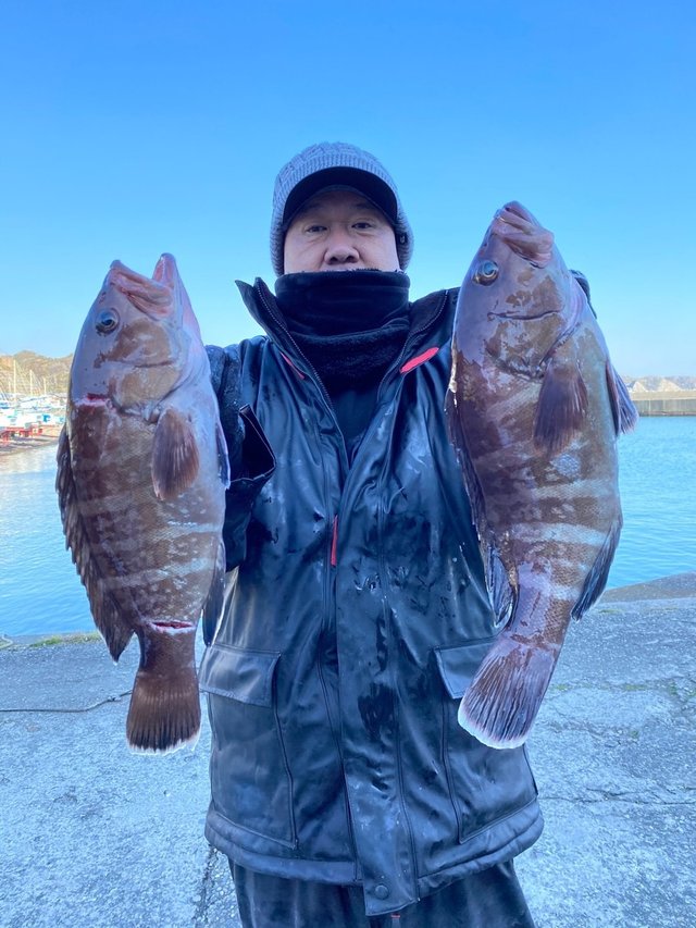 マハタ1 60kg 5匹 の釣果 年1月13日 信照丸 千葉 勝浦松部港 釣り船予約 釣割