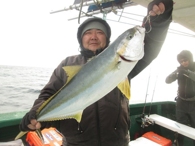 ヒラマサ の釣果 年1月19日 なかくに丸 新潟 寺泊港 釣り船予約 釣割