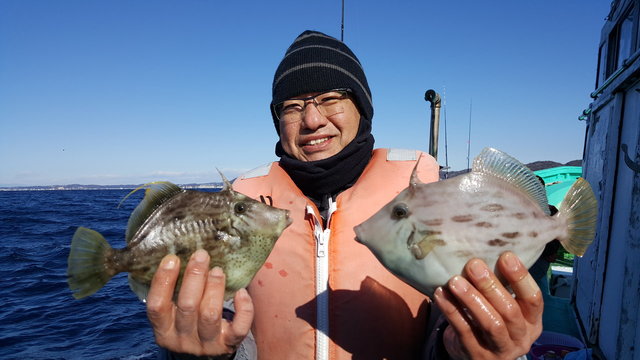 カワハギ25cm 8匹 の釣果 年1月21日 深田家 神奈川 佐島港 釣り船予約 釣割