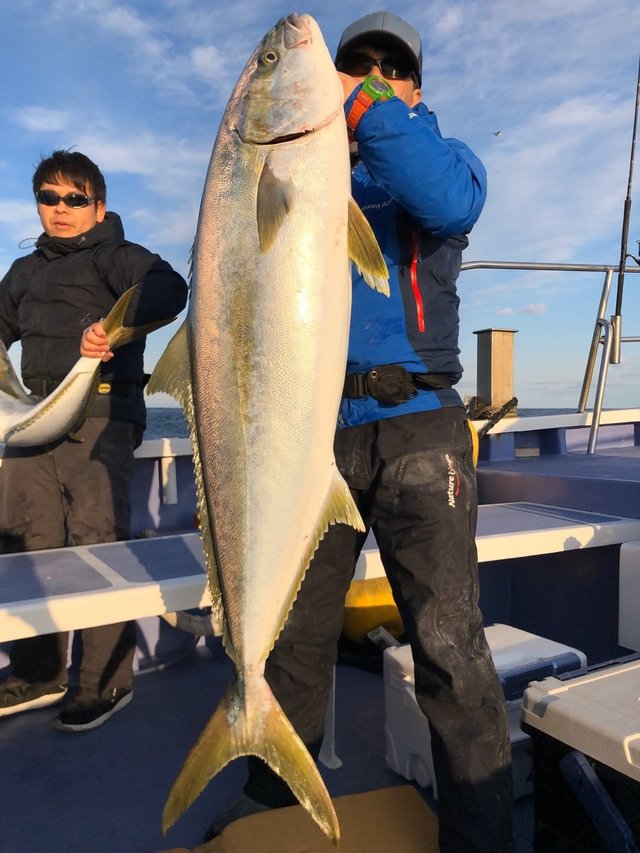 ヒラマサ115cm 4匹 の釣果 年2月2日 新勝丸 千葉 川津港 釣り船予約 釣割