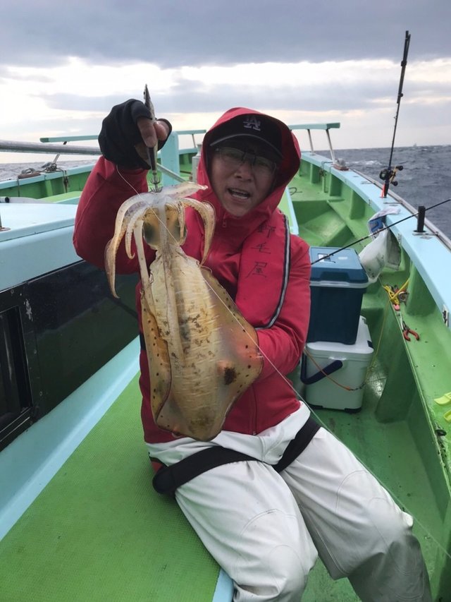 アオリイカ1 30kg 5匹 の釣果 年2月3日 野毛屋釣船店 神奈川 金沢八景平潟 釣り船予約 釣割