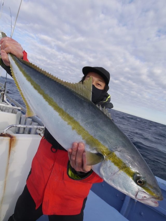 ヒラマサ 3匹 の釣果 年2月4日 松鶴丸 千葉 大原港 釣り船予約 釣割