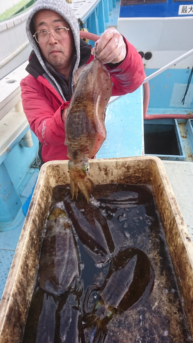 アオリイカ1 kg 7匹 の釣果 年2月7日 泰平丸 神奈川 小田原新港 釣り船予約 釣割