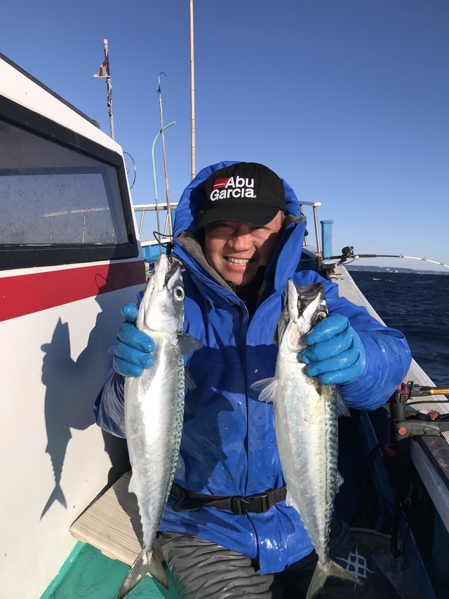 サバ43cm 75匹 の釣果 年2月11日 勝丸 勝浦 千葉 勝浦港 釣り船予約 釣割