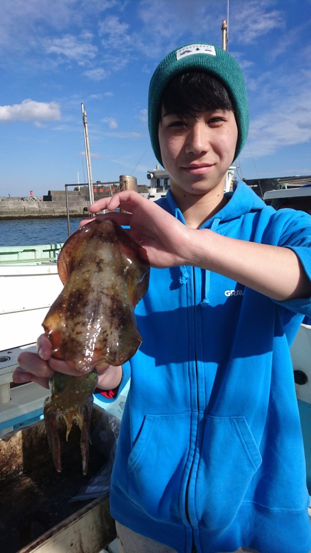 アオリイカ0 60kg 1匹 の釣果 年2月12日 泰平丸 神奈川 小田原新港 釣り船予約 釣割