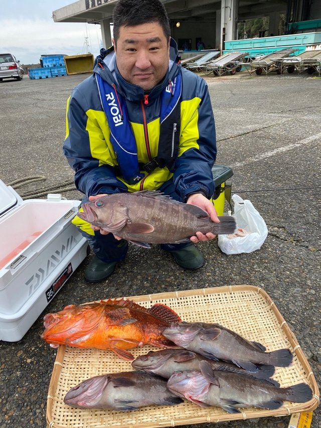 マハタ2 00kg 5匹 の釣果 2020年2月14日 信照丸 千葉 勝浦松部港 釣り船予約 釣割