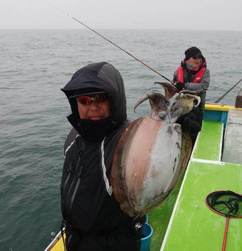 スミイカ0 80kg 7匹 の釣果 年2月16日 あさなぎ丸 神奈川 金沢八景乙舳 釣り船予約 釣割