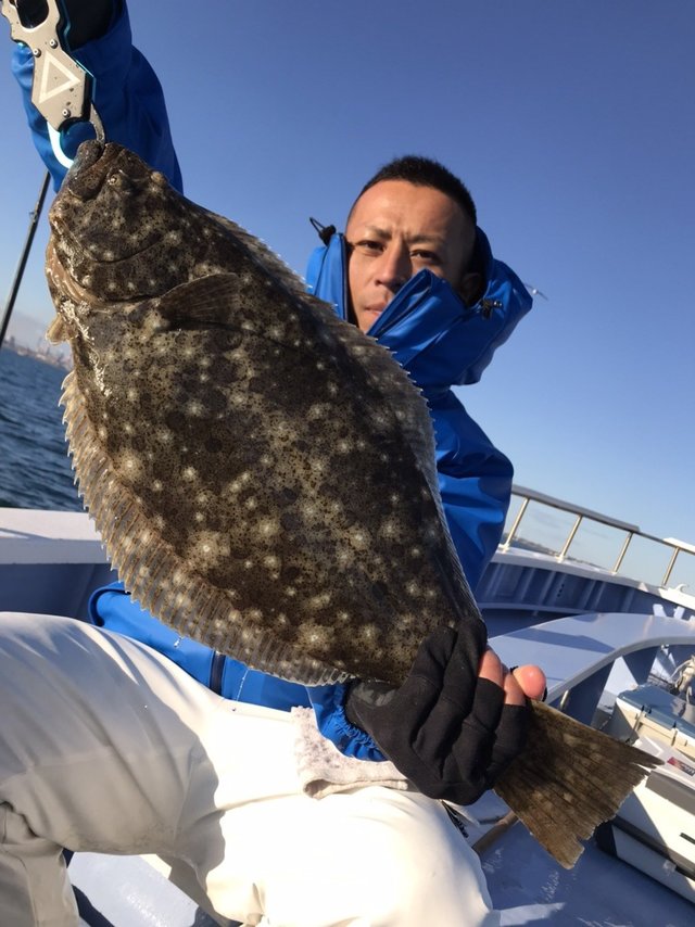 ヒラメ2 kg 8匹 の釣果 年2月19日 不動丸 茨城 鹿嶋旧港 釣り船予約 釣割