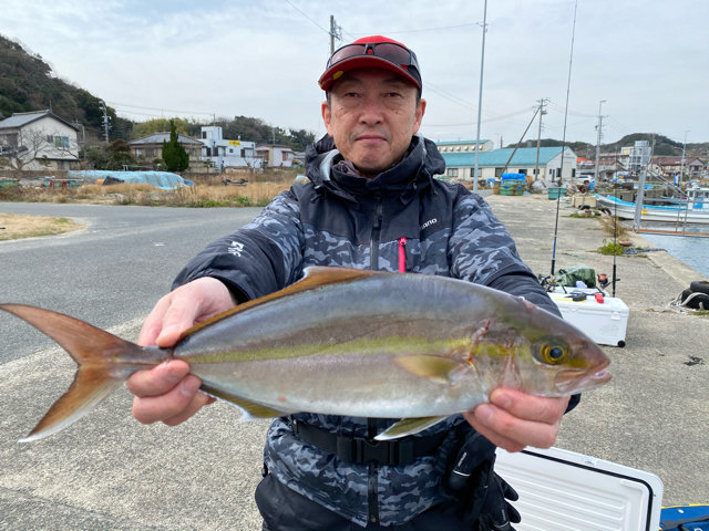 シオ 6匹 の釣果 年2月日 Wing 愛知 大井漁港 釣り船予約 釣割