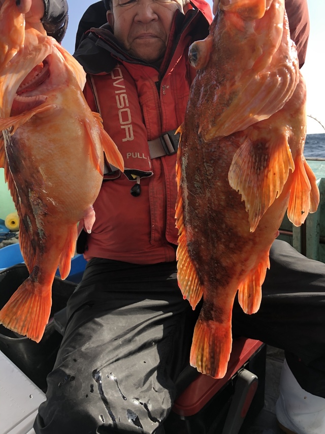 アラ6 00kg 1匹 の釣果 2020年2月21日 成幸丸 福岡 神湊港 釣り船予約 釣割