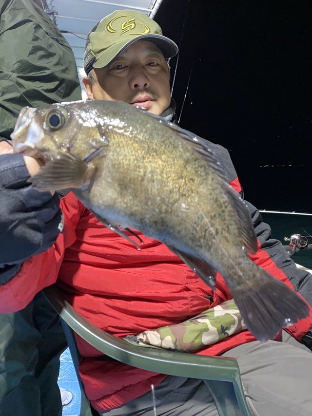 メバル33cm 6匹 の釣果 年2月23日 春日丸 大阪 谷川港 釣り船予約 釣割