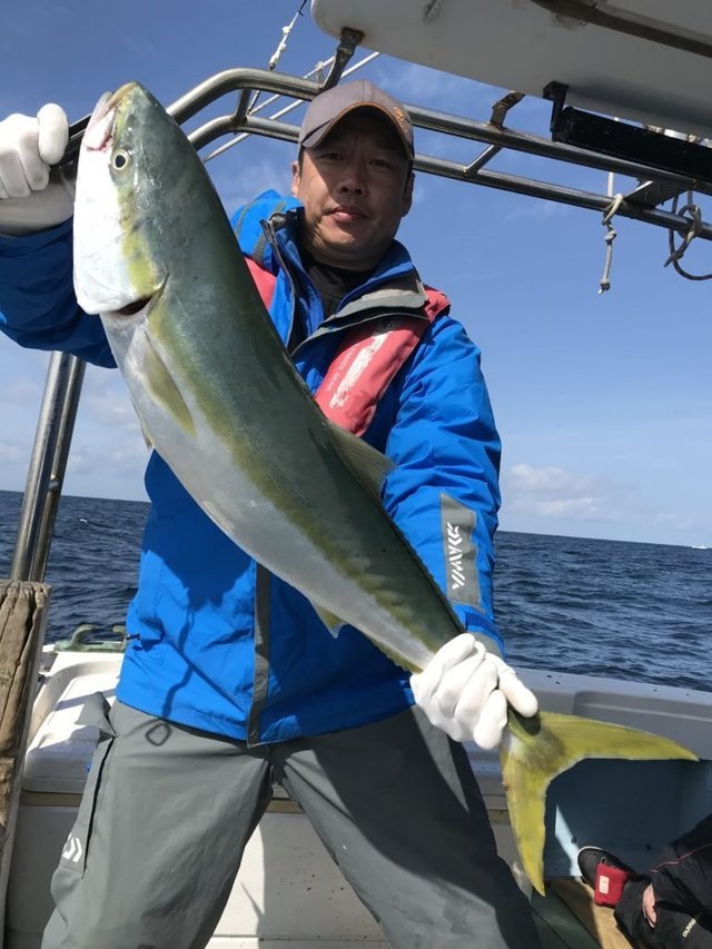 ヒラマサ13 00kg の釣果 年2月24日 遊漁船pontos幸雅丸 福岡 若松漁港 釣り船予約 釣割