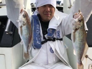 イシモチ の釣果 2020年2月28日 ひらい丸 東京 品川堀 釣り船予約 釣割