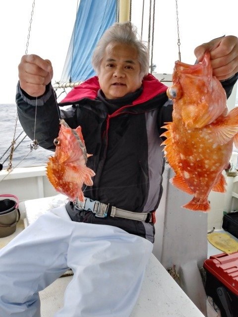 カンコ 5匹 の釣果 年3月14日 滋丸 静岡 手石港 釣り船予約 釣割