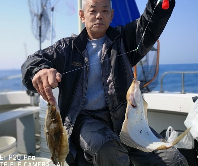 カレイ の釣果 年4月4日 フィッシングボートふじしま 宮城 塩釜港 釣り船予約 釣割