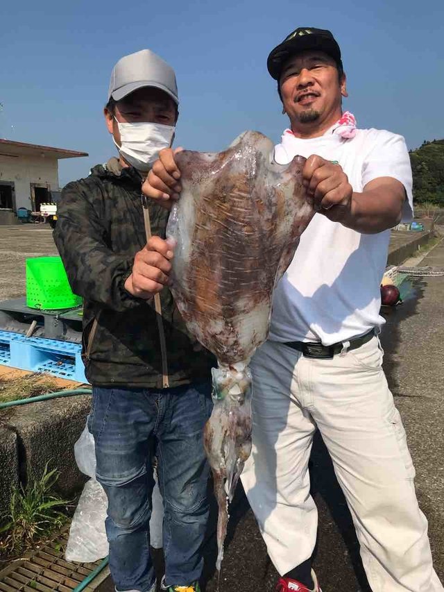 アオリイカ2 00kg の釣果 年4月30日 西本渡船 高知 竜串漁港 釣割