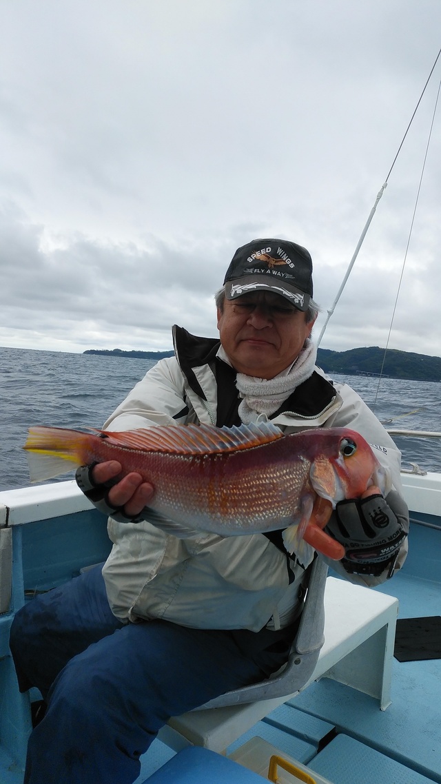 アマダイ44cm 1匹 の釣果 年5月日 山川丸 静岡 宇佐美港 釣割