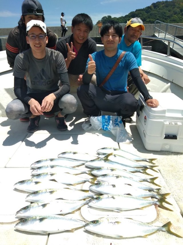 ハマチ の釣果 年5月23日 じゅげむ 山口 伊保田港 釣割