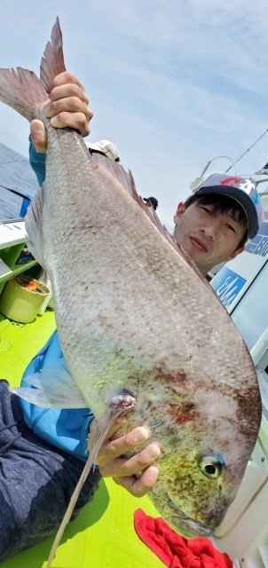 シマアジ3 kg 1匹 の釣果 年5月26日 松栄丸 千葉 釣割