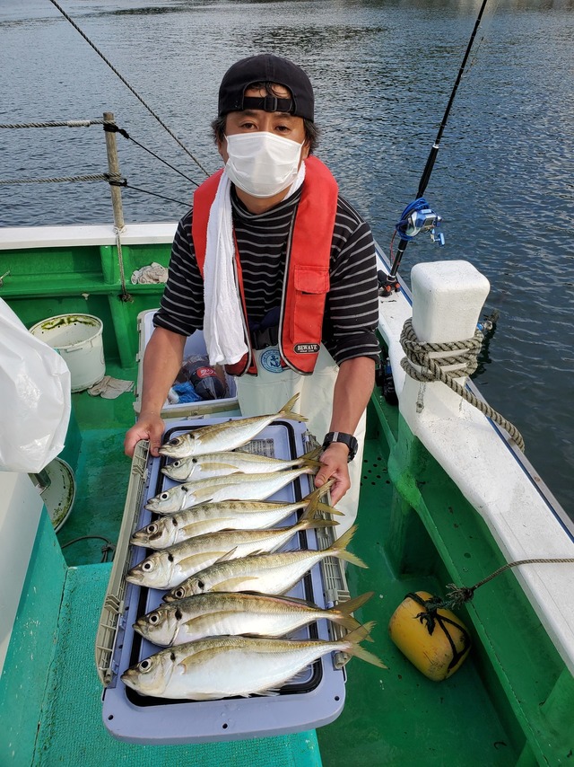 アジ38cm 18匹 の釣果 年5月30日 健洋丸 神奈川 走水港 釣り船予約 釣割