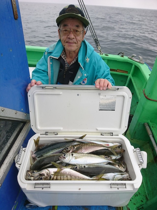 アジ40cm 43匹 の釣果 年6月1日 愛正丸 神奈川 葉山港 釣り船予約 釣割