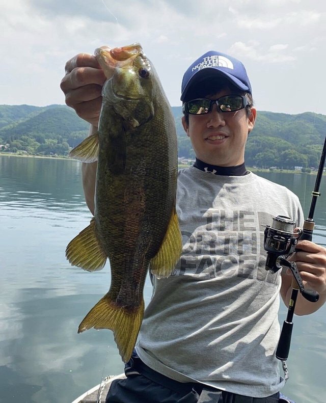 スモール40cm 4匹 の釣果 年6月3日 木崎湖モダンボート 長野 木崎湖 釣割