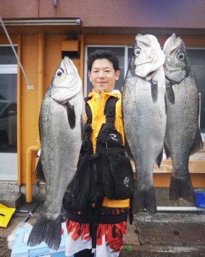 ヒラスズキ の釣果 年6月14日 丸銀釣センター 長崎 釣割