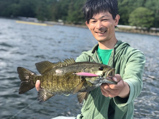 スモール の釣果 年6月16日 木崎湖モダンボート 長野 木崎湖 釣割